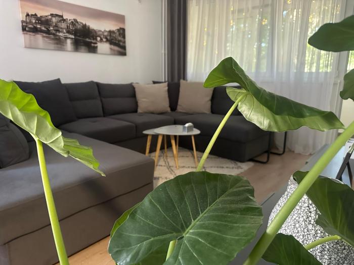 Juga lux apartment