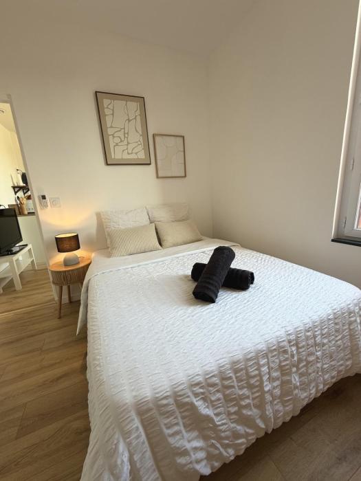 Appartement lumineux climatisé proche rempart
