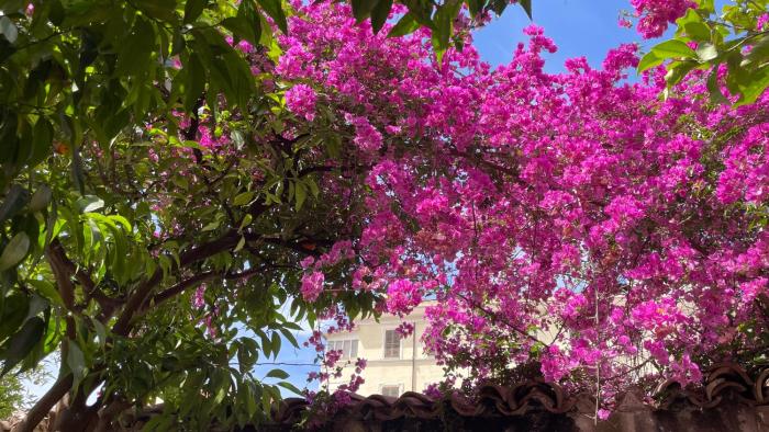 The Quiet Garden at San Giovanni