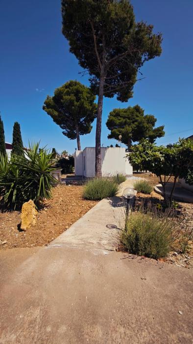 La casa del Pino