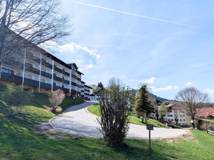 Alpennest mit Pool und Sauna, direkt am Skihang