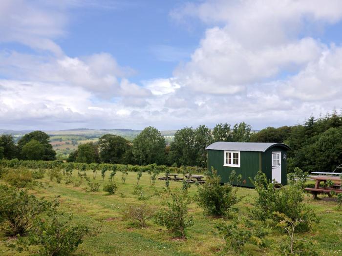 Shepherds Hut at East Hill Pride