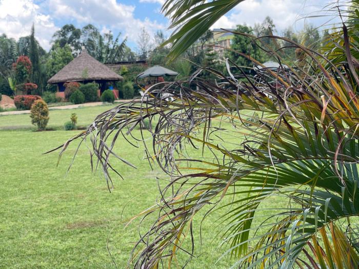 Hezma Gardens & Events