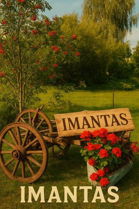 Imantas