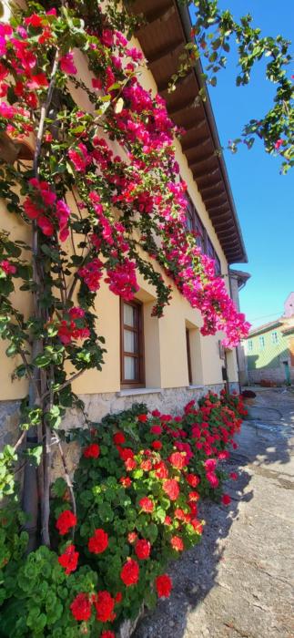 Casa Pelayin