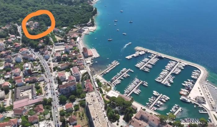 Shark Herceg Novi