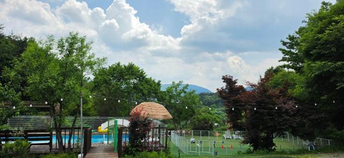 Green Bee Pension