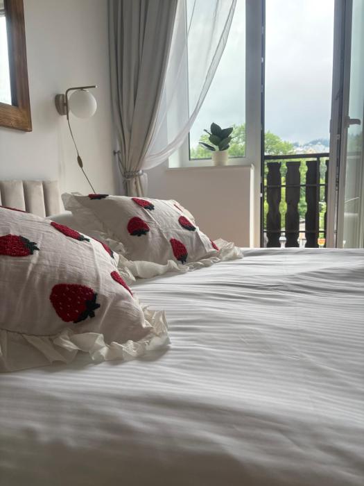 Apartament Góraleczka Centrum Zakopane