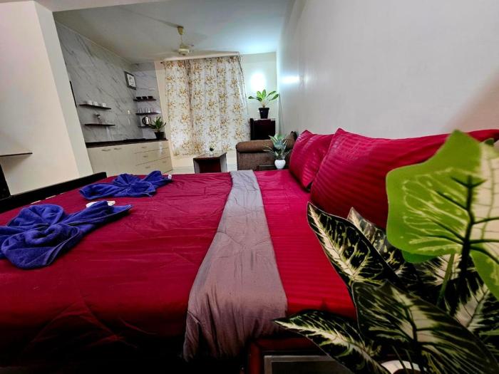 Seabreeze Sanctuary studio - 100m to the beach