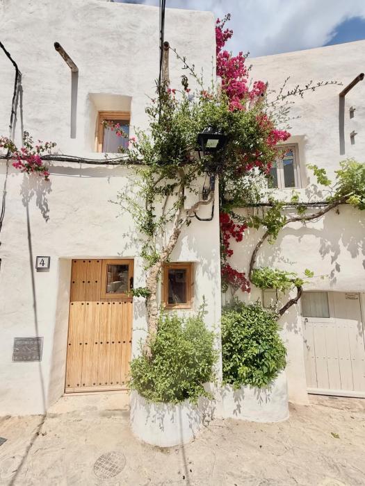 Charming Historic Townhouse with a Patio and Private Terrace in Mojácar Pueblo