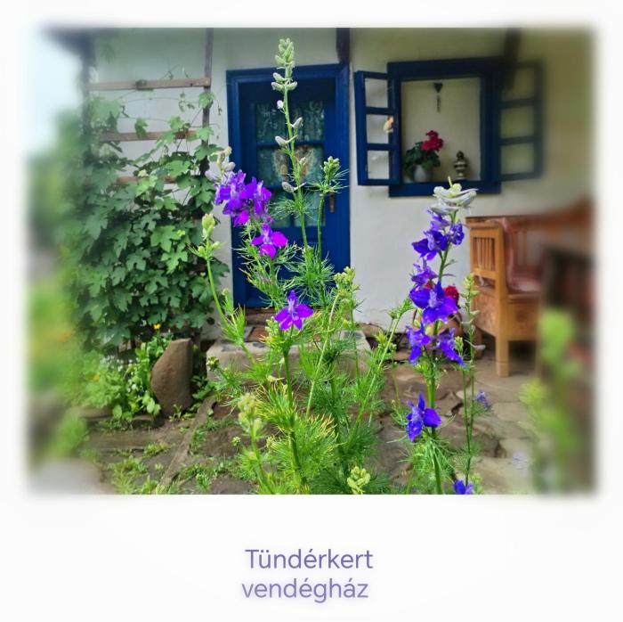 Tündérkert vendégház