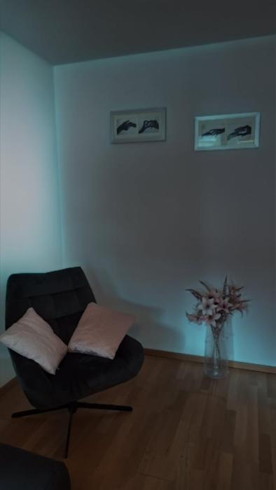 Messe-Badische SBB- grosse Wohnung