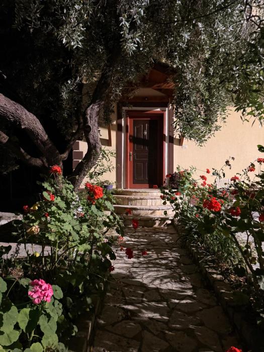 Borsh Grove Villa