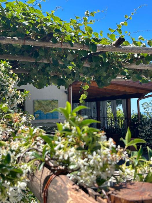 Agriturismo Orrido di Pino