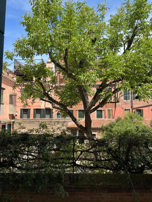 Golden Venezia Guest Rooms
