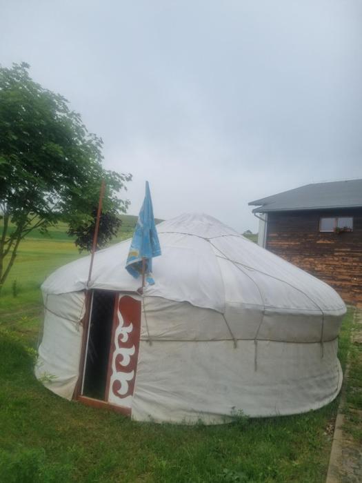 Mongol champing
