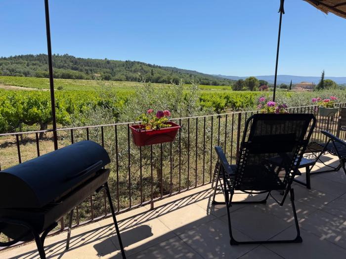 Maison dans les vignes