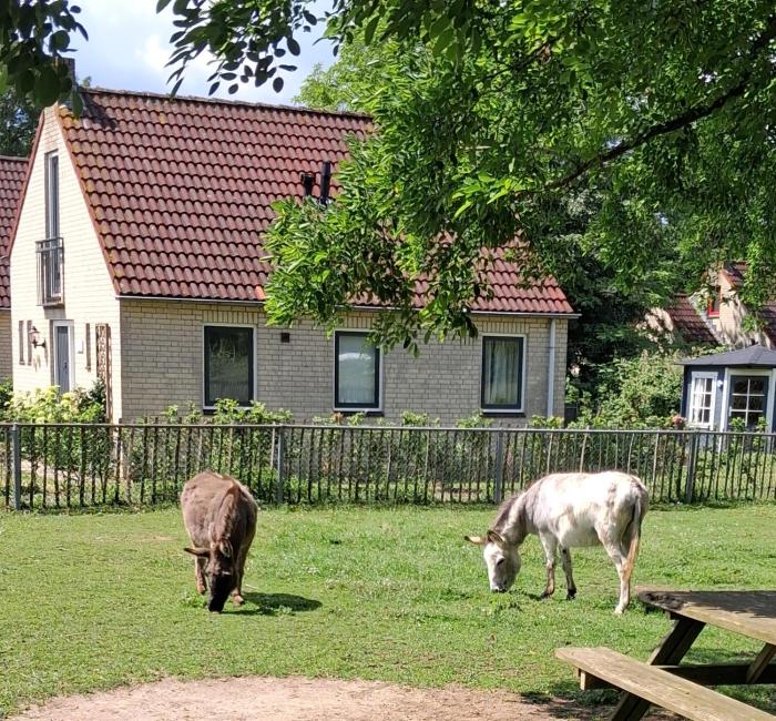 Heerlijke recreatiewoning op een geweldige plek