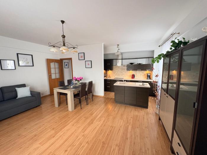 Płock City Center Apartment