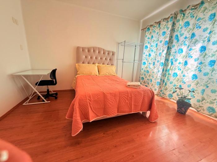 Bears house condesa-roma norte