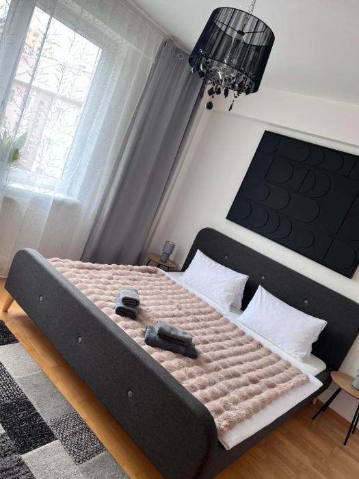 Domus Apartment
