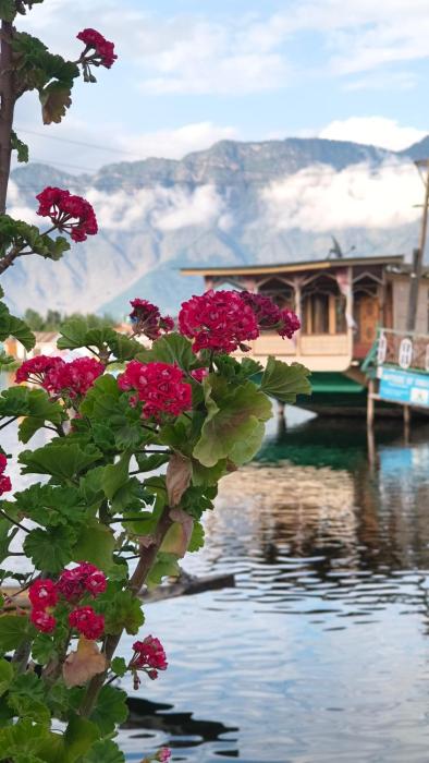 Houseboat In Dallake