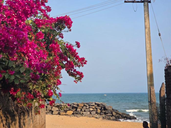 Angel Beach Resort - Pondicherry