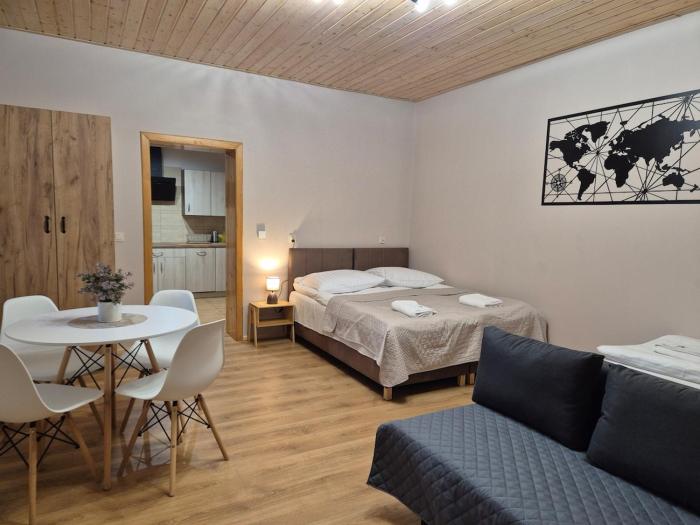 Apartment Pod Modrzewiem