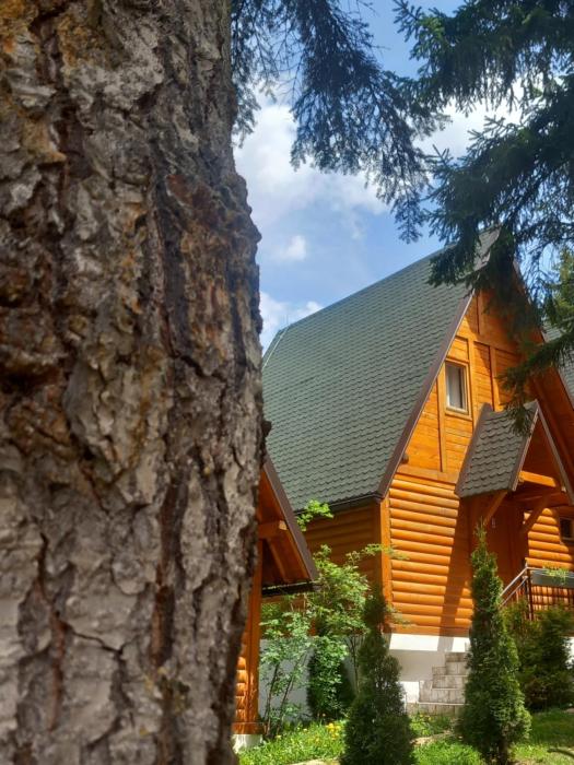 ZlatAir Eco Chalet