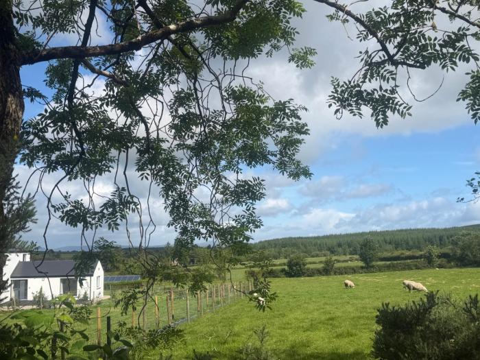 The Woodland Retreat Derry Londonderry