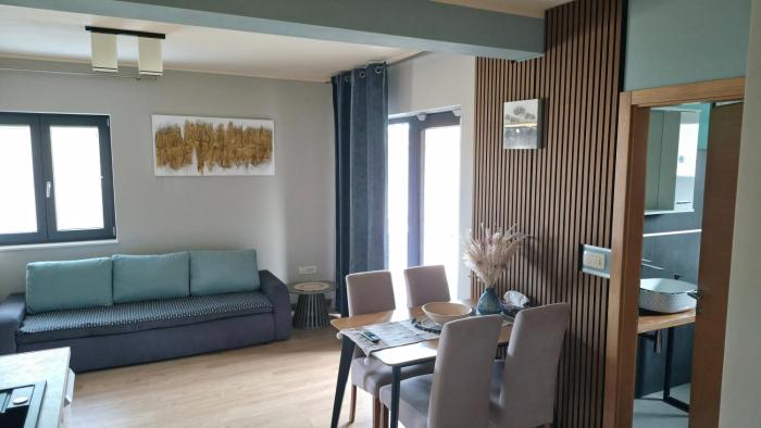Spacious modern apartment