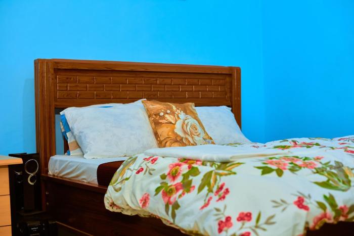 Meru View BnB and Safaris