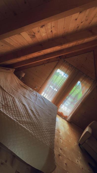 Camp Birch Forest