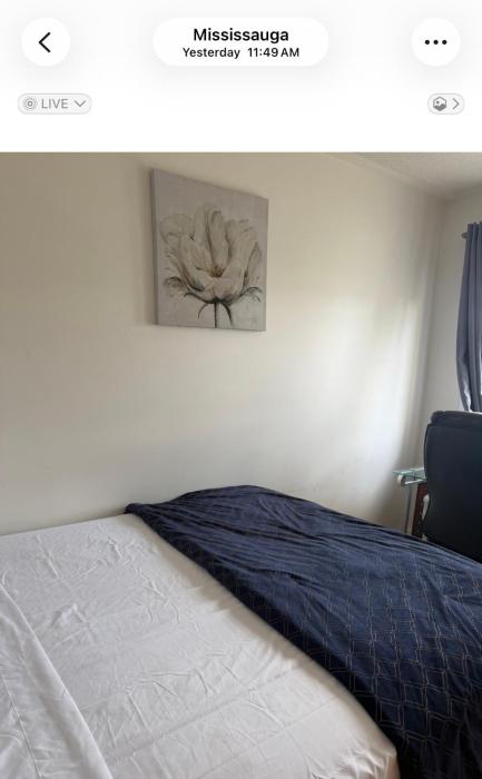Beautiful Queen size bed