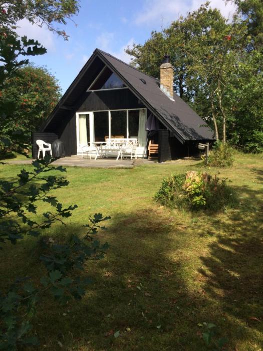 Cozy Holiday cottage at Ringkøbing Fjord