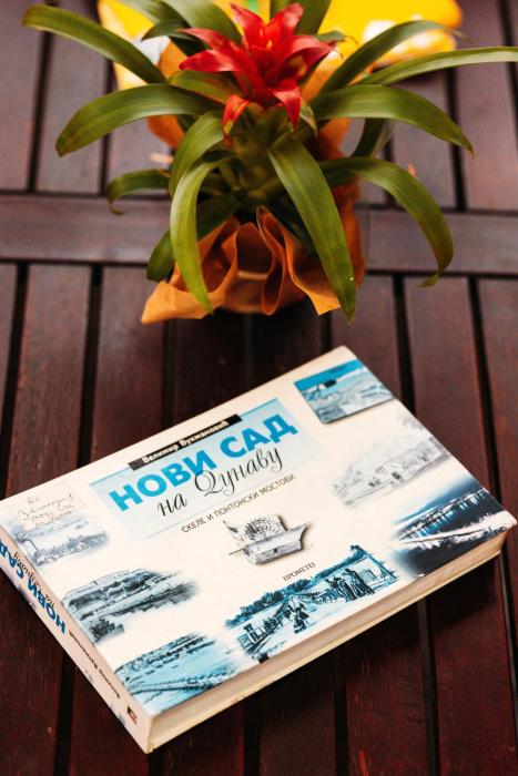 Danube Zen House Novi Sad