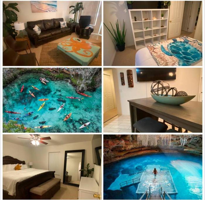 2BR Townhome Near Suncoast Pkwy, Springs & Golf