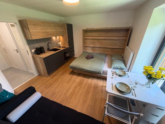 AVA apartmán Javorná na Šumavě