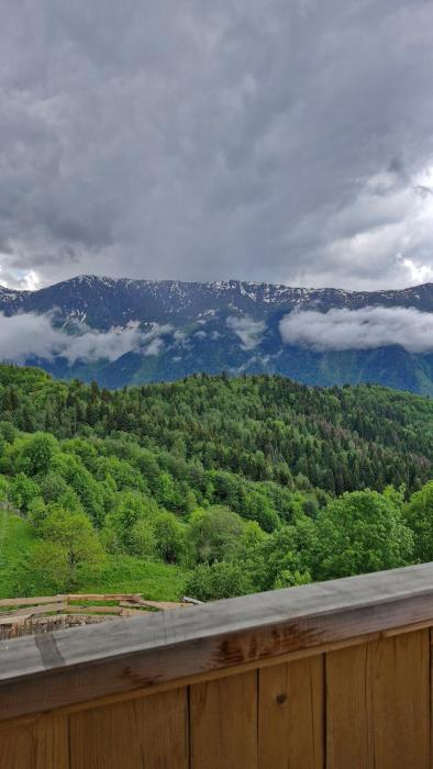 Wooden cottage in Svaneti
