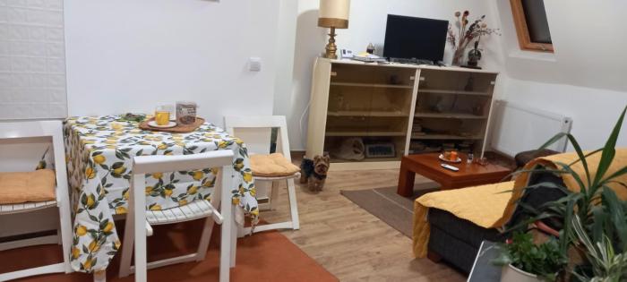 Apartman Suncica