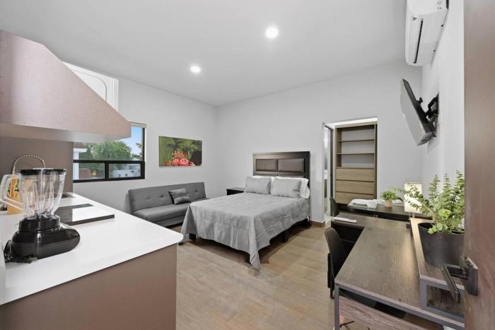 Moderno Loft Cerca del Tec Alberca + parrilla