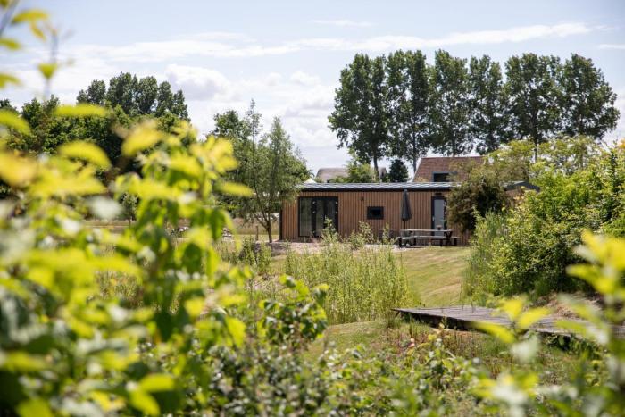 De Eend - Tiny house in de Zeeuwse Natuur