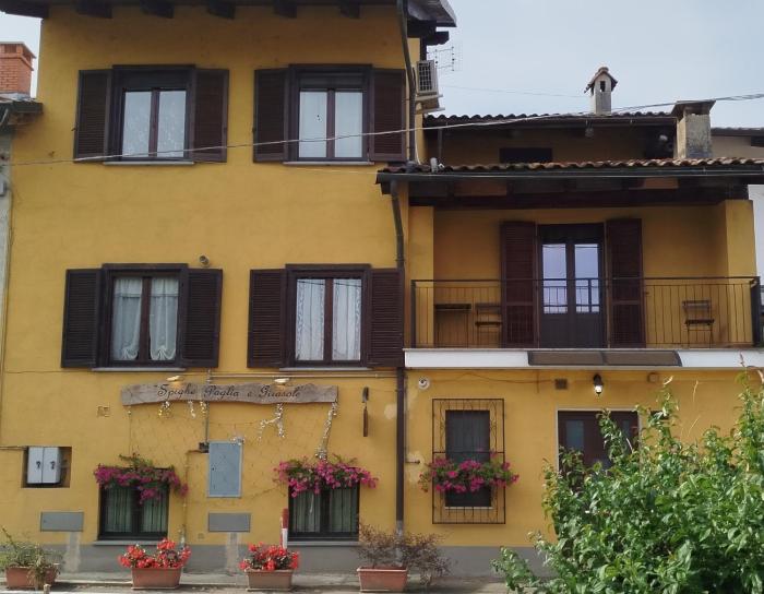 Spighe Paglia e Girasole