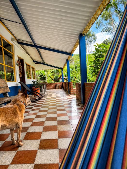 ECOHostal las Hamacas