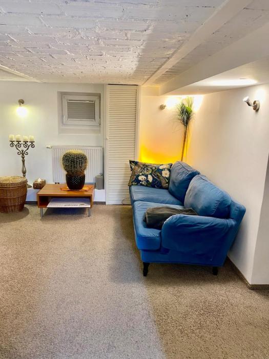 2 Zimmer Studio im Souterrain mit 46,7 qm