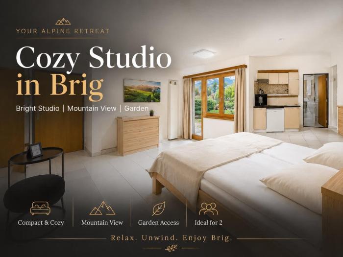 Cozy Studio in Brig