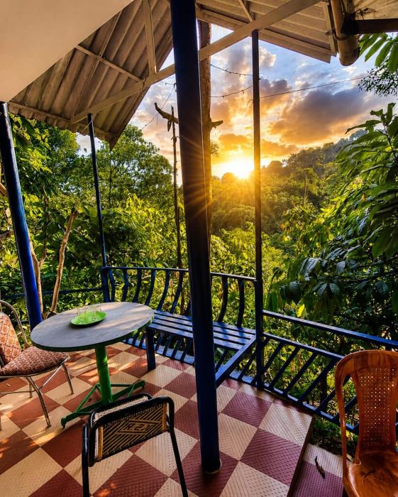 munnar Green portico Cottages