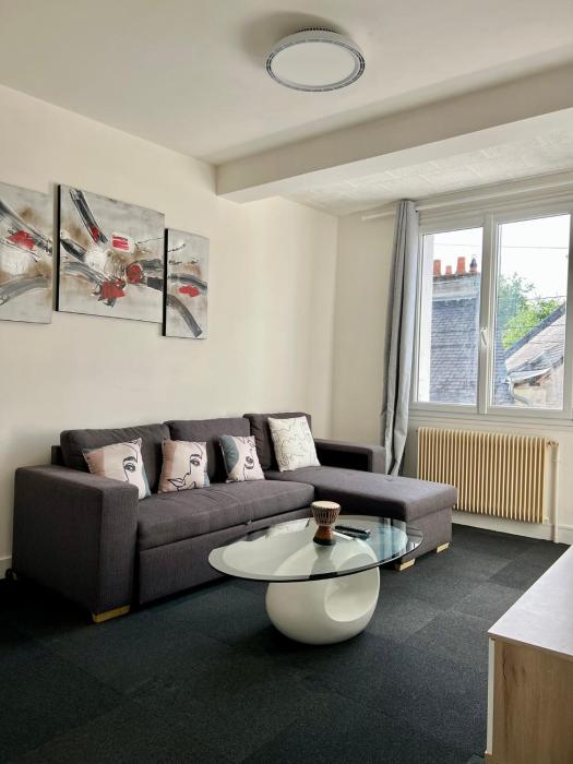 Appartement cosy au cœur dAmboise