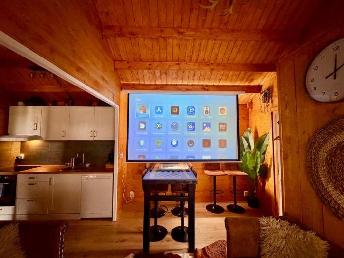 Cozy chalet with private jacuzzi and home cinema between Amsterdam Haarlem and Schiphol Airport
