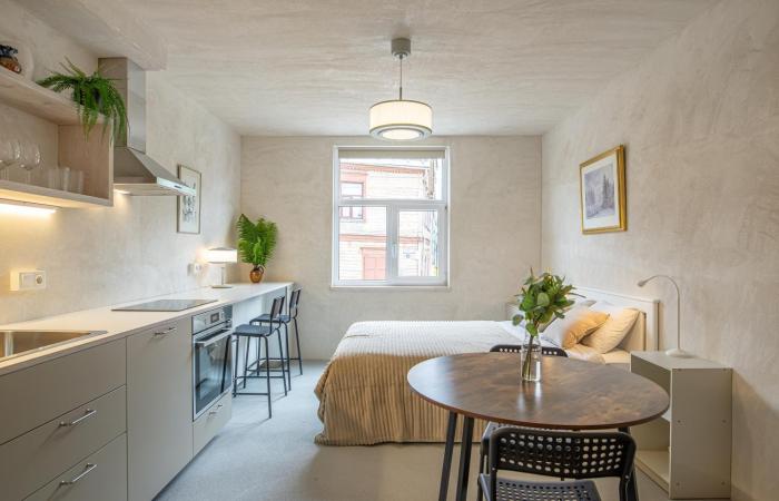 Central Nordic Studio 19, Self Check-In & Private Parking